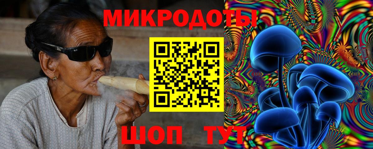 Псилоцибиновые грибы Psilocybe Краснокаменск